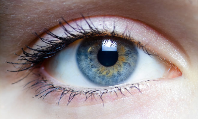 Eye, eyes, sight, wireless visual cortical stimulator, Second Sight, Orion I, Orion I Visual Cortical Prosthesis, Orion I by Second Sight, prosthesis, medical, medical procedure