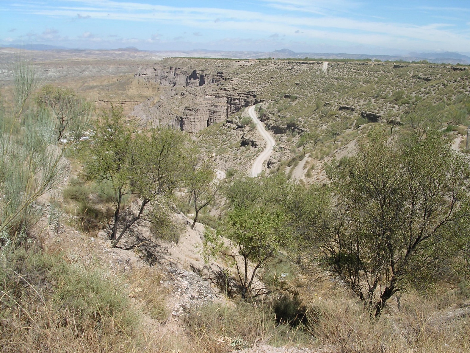 Mediterranean, global warming, climate change, desert