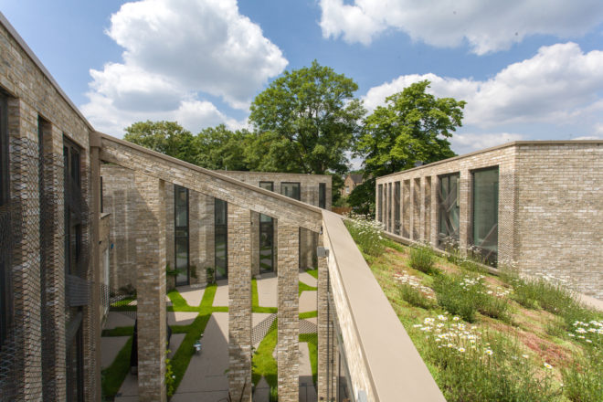 Forest Mews by Stolon Studio, London brownfield turned community, sustainable community in London, Suds in London, Suds architecture projects, live/work sustainable community,