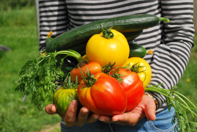 Delhaize, Delhaize Boondael, supermarket, grocery store, market, rooftop garden, garden, greenhouse, rooftop greenhouse, vegetables, local produce, produce