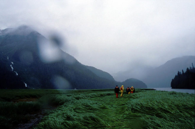 2016 Fuller Challenge, 2016 Fuller Challenge winner, 2016 Buckminster Fuller Challenge, 2016 Buckminster Fuller Challenge winner, Tides Canada, Greenpeace, Sierra Club British Columbia, Stand.earth, Rainforest Solutions Project, Great Bear Rainforest, spirit bear, spirit bears, rainforest, coastal rainforest, forest, logging, First Nations, indigenous people, indigenous rights, conservation