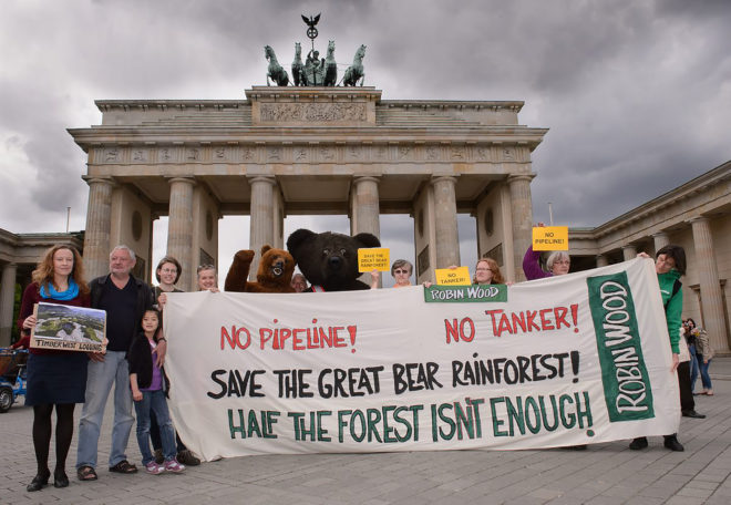 2016 Fuller Challenge, 2016 Fuller Challenge winner, 2016 Buckminster Fuller Challenge, 2016 Buckminster Fuller Challenge winner, Tides Canada, Greenpeace, Sierra Club British Columbia, Stand.earth, Rainforest Solutions Project, Great Bear Rainforest, spirit bear, spirit bears, rainforest, coastal rainforest, forest, logging, First Nations, indigenous people, indigenous rights, conservation