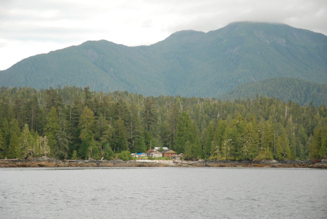 2016 Fuller Challenge, 2016 Fuller Challenge winner, 2016 Buckminster Fuller Challenge, 2016 Buckminster Fuller Challenge winner, Tides Canada, Greenpeace, Sierra Club British Columbia, Stand.earth, Rainforest Solutions Project, Great Bear Rainforest, spirit bear, spirit bears, rainforest, coastal rainforest, forest, logging, First Nations, indigenous people, indigenous rights, conservation