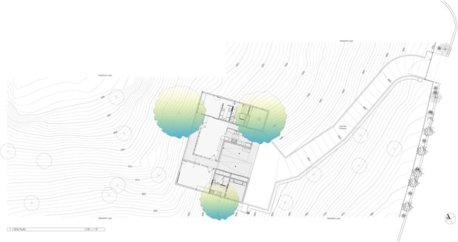 Echo Park architecture, Los Angeles hillside home by Anonymous Architects, House in the Trees by Anonymous Architects, tree grows through a house, tree grows through a building, house with a tree inside, cypress trees architecture los angeles