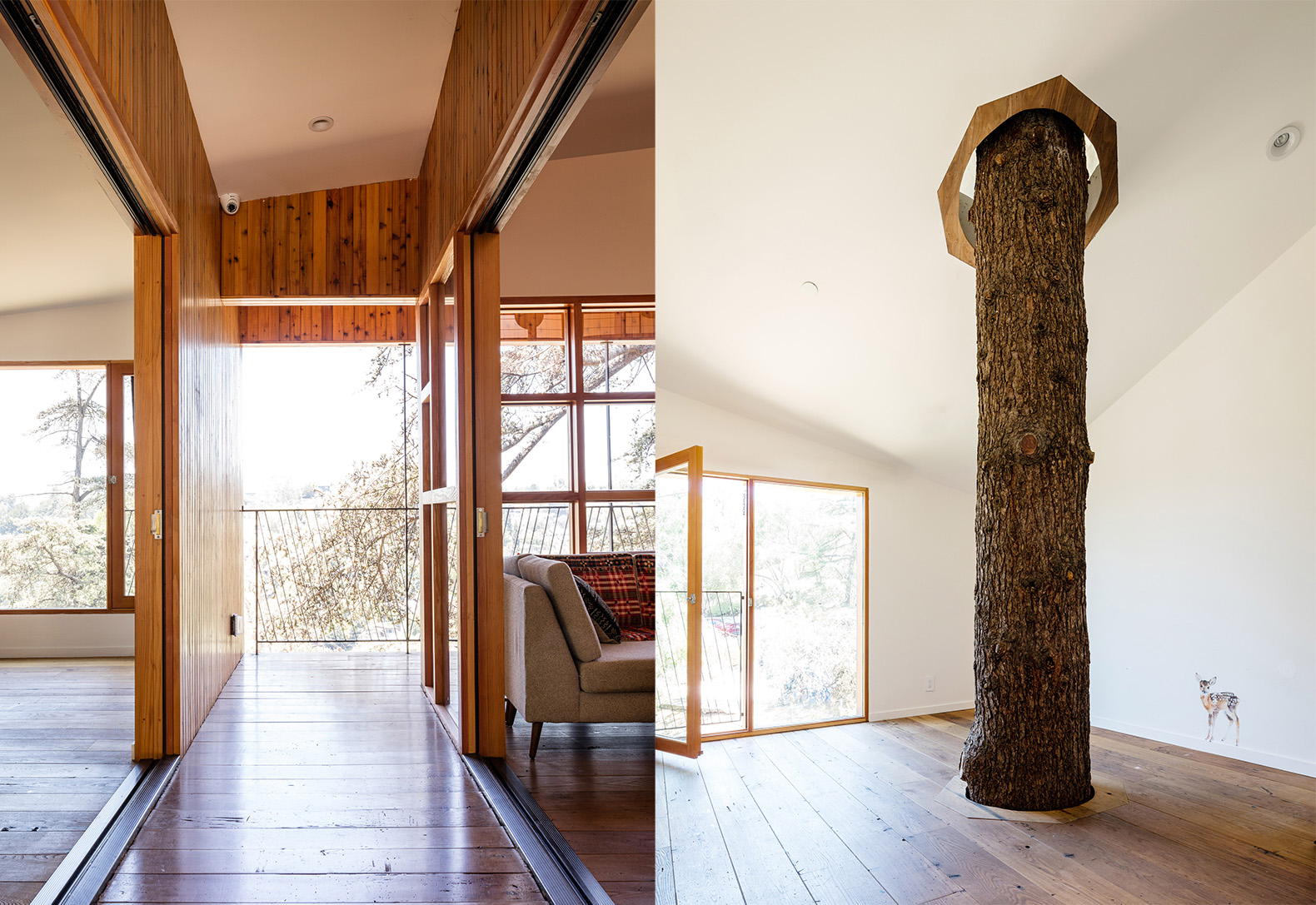 Echo Park architecture, Los Angeles hillside home by Anonymous Architects, House in the Trees by Anonymous Architects, tree grows through a house, tree grows through a building, house with a tree inside, cypress trees architecture los angeles