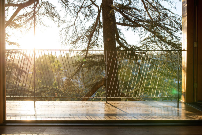 Echo Park architecture, Los Angeles hillside home by Anonymous Architects, House in the Trees by Anonymous Architects, tree grows through a house, tree grows through a building, house with a tree inside, cypress trees architecture los angeles