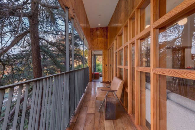 Echo Park architecture, Los Angeles hillside home by Anonymous Architects, House in the Trees by Anonymous Architects, tree grows through a house, tree grows through a building, house with a tree inside, cypress trees architecture los angeles