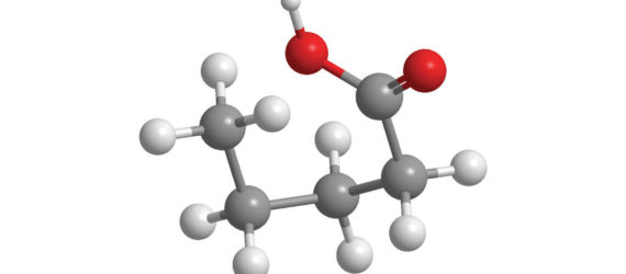 nobel prize, nobel prize in chemistry, molecular machines, molecular motor, Fraser Stoddart, Jean-Pierre Sauvage, Bernard “Ben” Feringa