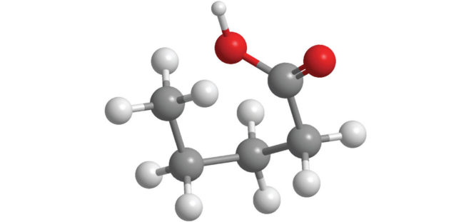 nobel prize, nobel prize in chemistry, molecular machines, molecular motor, Fraser Stoddart, Jean-Pierre Sauvage, Bernard “Ben” Feringa