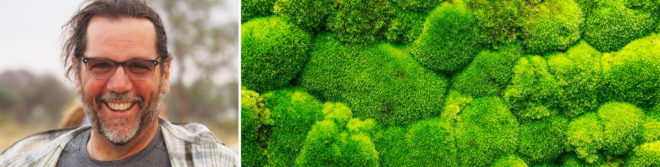 moss wall, living wall, moss art, indoor greenery, green design, green decor, moss decor, indoor moss, plant solutions, Joe Zazzera