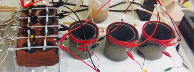 Living Bricks, Rachel Armstrong, Newcastle University, LIAR, energy-generating walls, bioreactor walls, bricks that generate energy, walls that generate energy, energy bricks, microbial fuel cell bricks, bricks turn pond slime into energy, green bricks, fossil fuel-free energy bricks