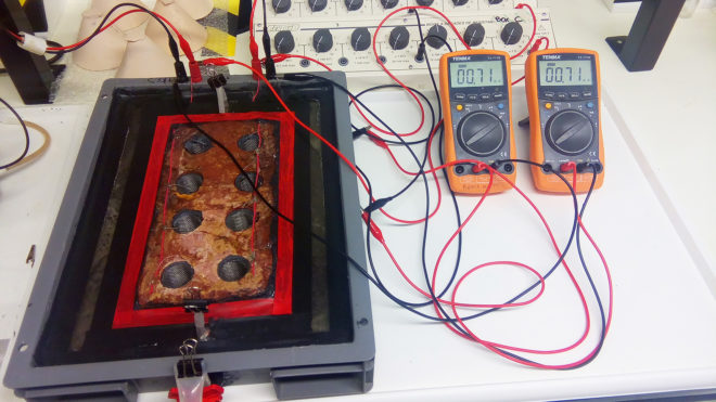 Living Bricks, Rachel Armstrong, Newcastle University, LIAR, energy-generating walls, bioreactor walls, bricks that generate energy, walls that generate energy, energy bricks, microbial fuel cell bricks, bricks turn pond slime into energy, green bricks, fossil fuel-free energy bricks