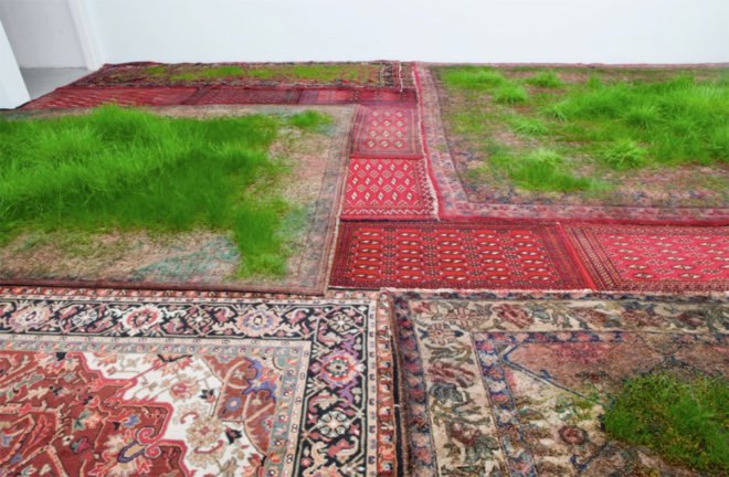 martin roth, persian rug, growing grass indoors, growing grass on a rug, nature art, korean cultural center UK, korean cultural center london, temporary lawn, temporary indoor lawn