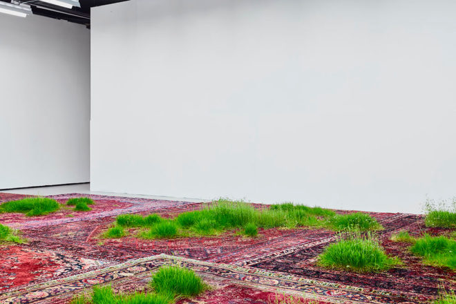 martin roth, persian rug, growing grass indoors, growing grass on a rug, nature art, korean cultural center UK, korean cultural center london, temporary lawn, temporary indoor lawn
