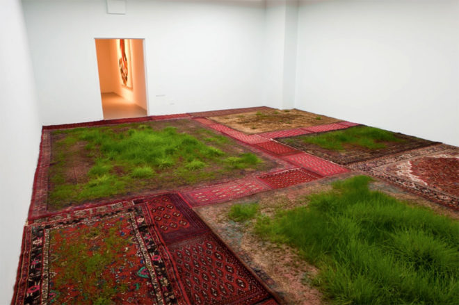 martin roth, persian rug, growing grass indoors, growing grass on a rug, nature art, korean cultural center UK, korean cultural center london, temporary lawn, temporary indoor lawn