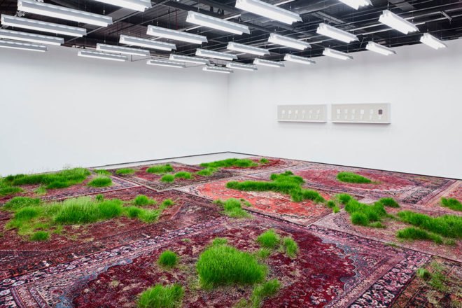 martin roth, persian rug, growing grass indoors, growing grass on a rug, nature art, korean cultural center UK, korean cultural center london, temporary lawn, temporary indoor lawn
