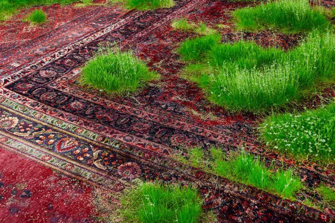 martin roth, persian rug, growing grass indoors, growing grass on a rug, nature art, korean cultural center UK, korean cultural center london, temporary lawn, temporary indoor lawn
