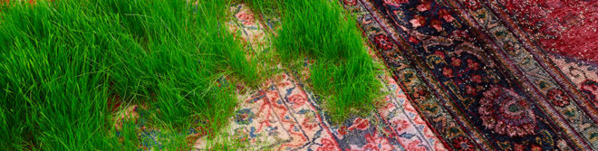 martin roth, persian rug, growing grass indoors, growing grass on a rug, nature art, korean cultural center UK, korean cultural center london, temporary lawn, temporary indoor lawn