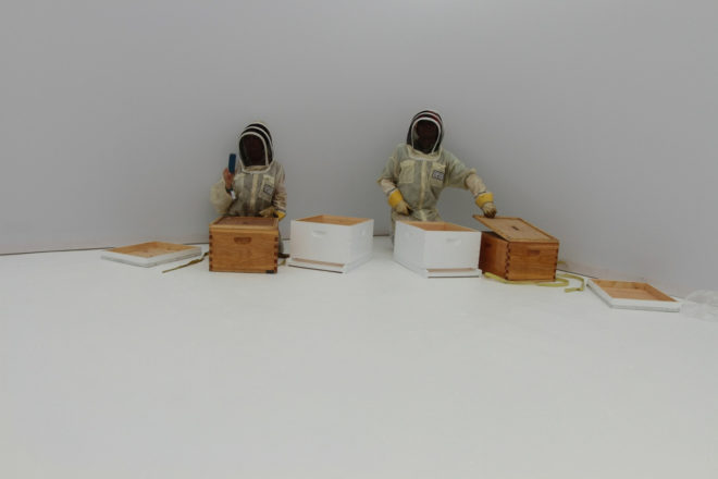 bees, bee die-offs, synthetic apiary, honeybee colonies, neri oxman, mediated matter, mit media lab, indoor apiary