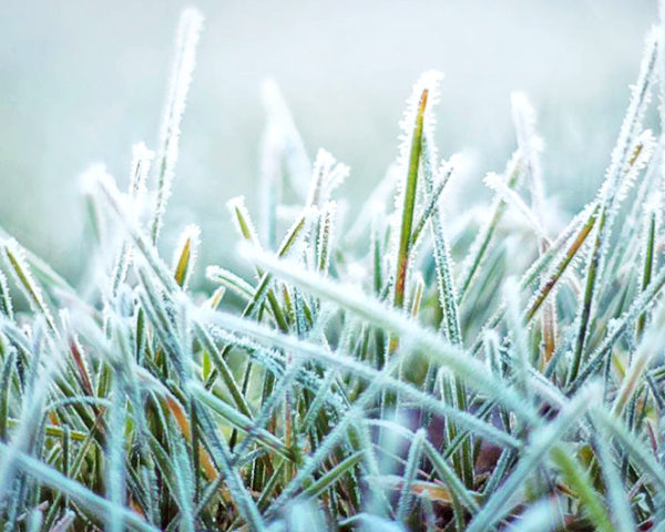 Met Office, North Atlantic Oscillation, winter weather, supercomputer winter weather, predict winter weather, Met Office supercomputer, supercomputer predict weather, Met Office predict winter weather, winter weather predictions