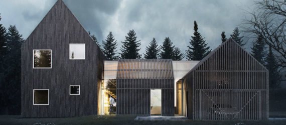 KAVA Architects, Scandinavian architecture, minimalist house, winter garden, pitched roof, Copenhagen, swimming pool, green architecture, gallery