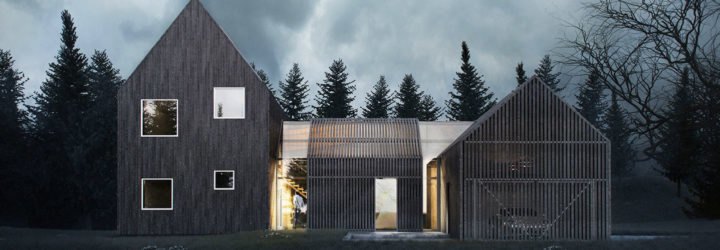 KAVA Architects, Scandinavian architecture, minimalist house, winter garden, pitched roof, Copenhagen, swimming pool, green architecture, gallery