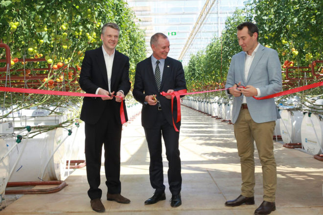 Sundrop, Sundrop Farms, farm, renewable energy, solar power, sun, sunshine, sunlight, seawater, desalination, Australia, Australian desert, desert, desert farm, tomato, tomatoes, official opening, grand opening, opening