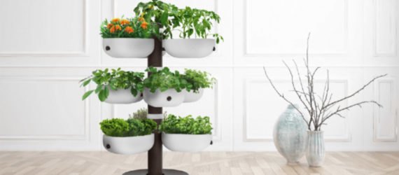 indoor garden, indoor growing, indoor gardening, kitchen garden, Taiga Tower, smart indoor garden, LED indoor garden, self watering garden, indiegogo garden, Taiga garden, tower garden, indoor tower garden