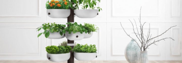 indoor garden, indoor growing, indoor gardening, kitchen garden, Taiga Tower, smart indoor garden, LED indoor garden, self watering garden, indiegogo garden, Taiga garden, tower garden, indoor tower garden