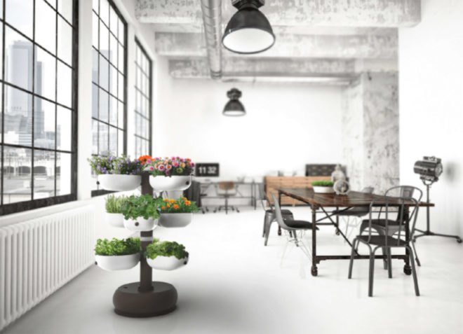 indoor garden, indoor growing, indoor gardening, kitchen garden, Taiga Tower, smart indoor garden, LED indoor garden, self watering garden, indiegogo garden, Taiga garden, tower garden, indoor tower garden