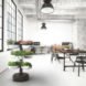 indoor garden, indoor growing, indoor gardening, kitchen garden, Taiga Tower, smart indoor garden, LED indoor garden, self watering garden, indiegogo garden, Taiga garden, tower garden, indoor tower garden