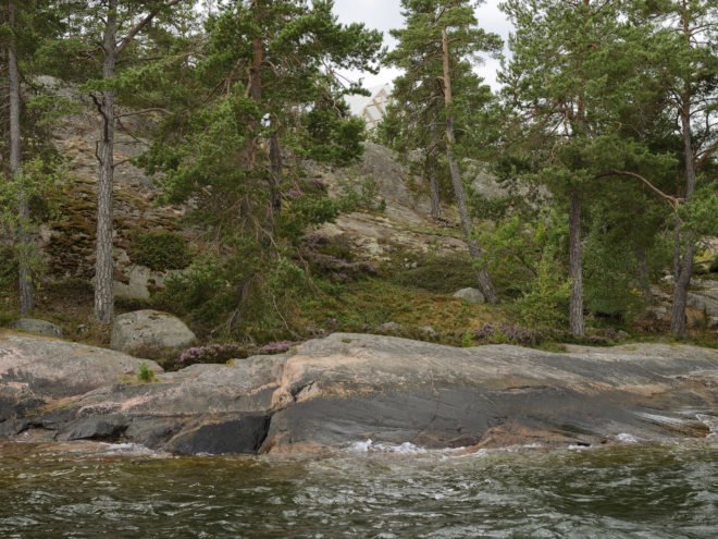 Viggsö Cabin by Arrhov Frick Arkitektkontor, Viggsö island cabin, Viggsö architecture, elevated holiday cabin, timber cabin on stilts, modern Swedish cabin architecture