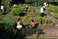 White House garden, Michelle Obama garden, White House Garden First Lady