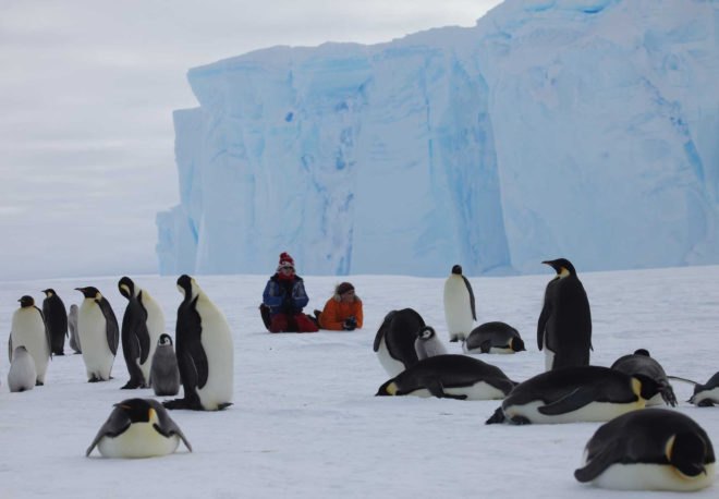 antarctica, south pole, camp whichaway, white desert, eco-friendly camp, eco-friendly resort, eco-friendly vacation, luxury camp, emperor penguins, penguins, ice caves