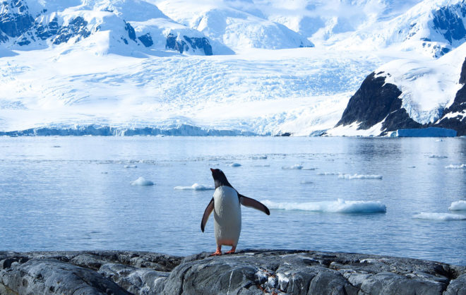 Antarctica, Antarctic expedition, Swiss polar institute, climate change, research, Antarctic Circumpolar Expedition, oceans