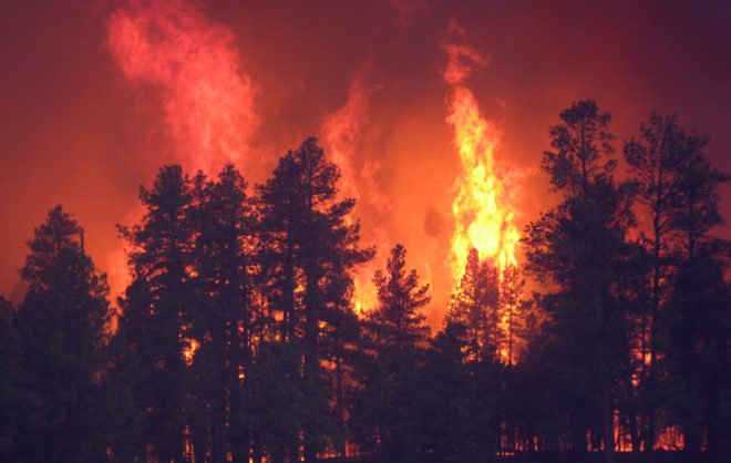 forest fires, western us, climate change, natural disasters, columbia university, research study, global warming, global temperatures, nature, forests, trees
