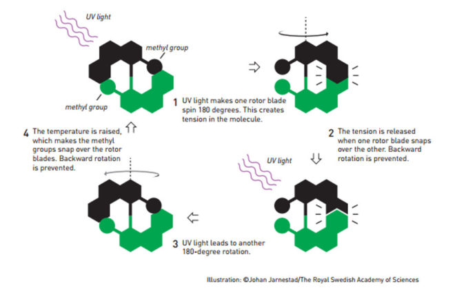 nobel prize, nobel prize in chemistry, molecular machines, molecular motor, Fraser Stoddart, Jean-Pierre Sauvage, Bernard “Ben” Feringa