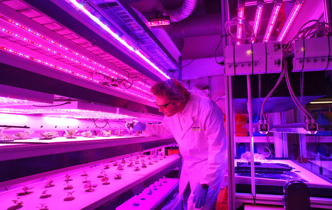 target, indoor farm, vertical farm, indoor micro-farm, aquaponics, hydroponics, indoor garden, indoor produce, local produce, sustainable agriculture