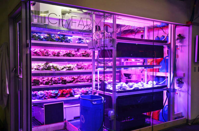 target, indoor farm, vertical farm, indoor micro-farm, aquaponics, hydroponics, indoor garden, indoor produce, local produce, sustainable agriculture