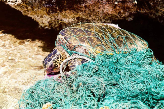boyan slat, ocean cleanup project, ocean cleanup array, ghost nets, great pacific garbage patch, pacific trash vortex, ocean trash, ocean plastic, ocean debris, ocean pollution