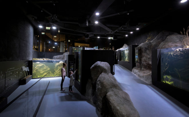 karlovac, karlovac aquarium, 3lhd, freshwater aquarium, karlovac star, croatia aquarium, croatian river, korana river, croatia ecosystem