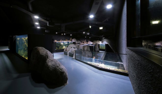 karlovac, karlovac aquarium, 3lhd, freshwater aquarium, karlovac star, croatia aquarium, croatian river, korana river, croatia ecosystem