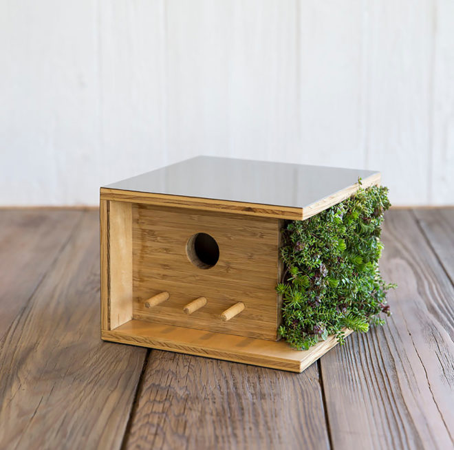 Architecture, modern architecture, design, birdhouse, birdhouses, Douglas Barnhard, Sourgrassbuilt, California, Santa Cruz, repurposed materials, Frank Lloyd Wright, Eichler, Bauhaus, Living Wall Bauhaus, living wall, green wall