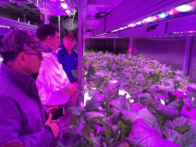 Arctic Greens, Kikiktagruk Inupiat Corporation, Kotzebue, Alaska, Arctic, hydroponic technology, hydroponics, hydroponic produce, shipping container, produce, local produce, locally grown