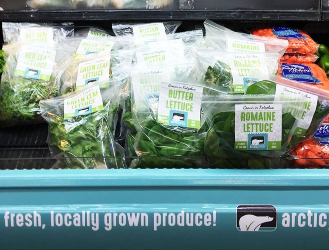Arctic Greens, Kikiktagruk Inupiat Corporation, Kotzebue, Alaska, Arctic, hydroponic technology, hydroponics, hydroponic produce, shipping container, produce, local produce, locally grown