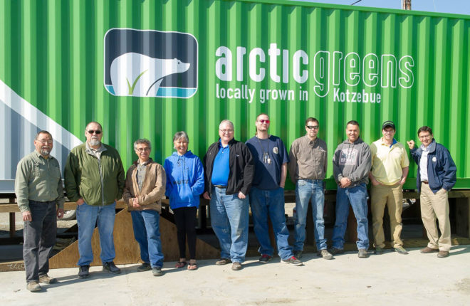 Arctic Greens, Kikiktagruk Inupiat Corporation, Kotzebue, Alaska, Arctic, hydroponic technology, hydroponics, hydroponic produce, shipping container, produce, local produce, locally grown
