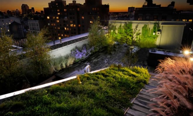 Diana Balmori, iconic architects, bilbao architects, landscape architecture, floating gardens, floating gardens gowanus, Growonus, Silver Cup Studios, rooftop gardens nyc, Lower East Side penthouse garden, wildlife crossing denver, smithson floating island, prairie waterway, winter garden world financial center, landscape design, sustainable design, resilient landscape, urban green space