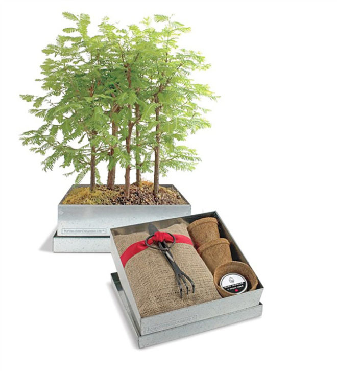 eco-friendly indoor garden, minature gardens, plant house, green holiday, green gift guide, green holidaygift guide, gifts for green thumbs, gifts for gardeners, plant gifts, eco friendly gardening presents, gardening gifts, gifts for gardeners, garden, gardeners, gardening, gardening presents, presents for gardeners, green thumb, green thumb gifts, garden gifts