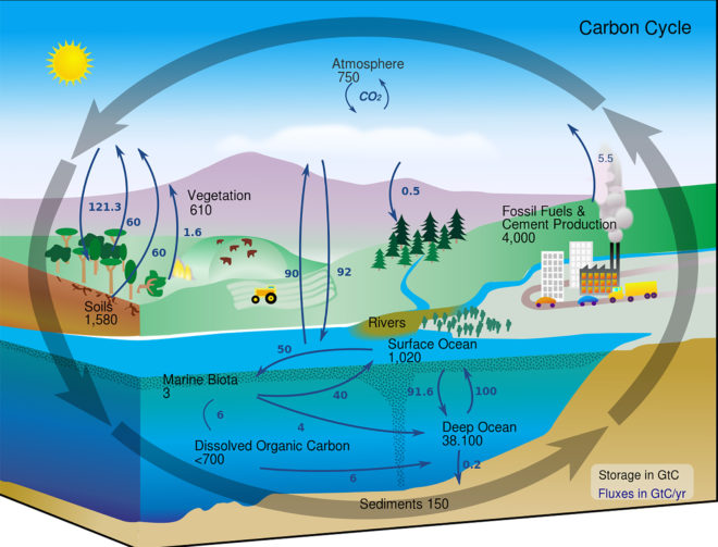 William McDonough, William McDonough and Partners, new carbon language, ending the war on carbon, carbon dioxide, greenhouse gas emissions, climate change, global warming, green design, design thinking, carbon cycle, new carbon language, The Carbon Positive City, silicon valley of agriculture