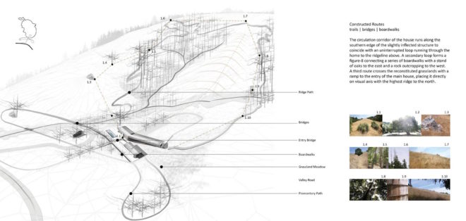 Crook Cup Bow Twist House by Schwartz and Architecture, eucalyptus solar screen, Nicasio architecture, Marin County Green Building standard house, contemporary California countryside home, Crook Cup Bow Twist House